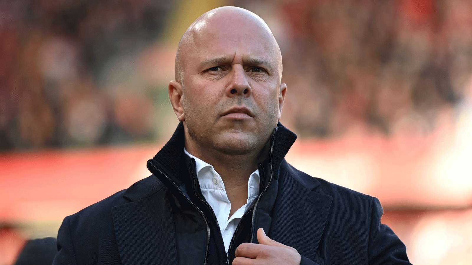 文章从马布 文章从马布