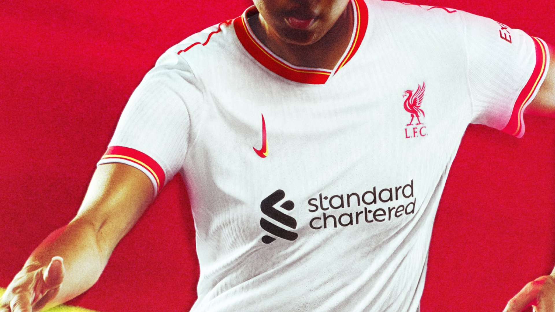 只有针对这 只有针对这