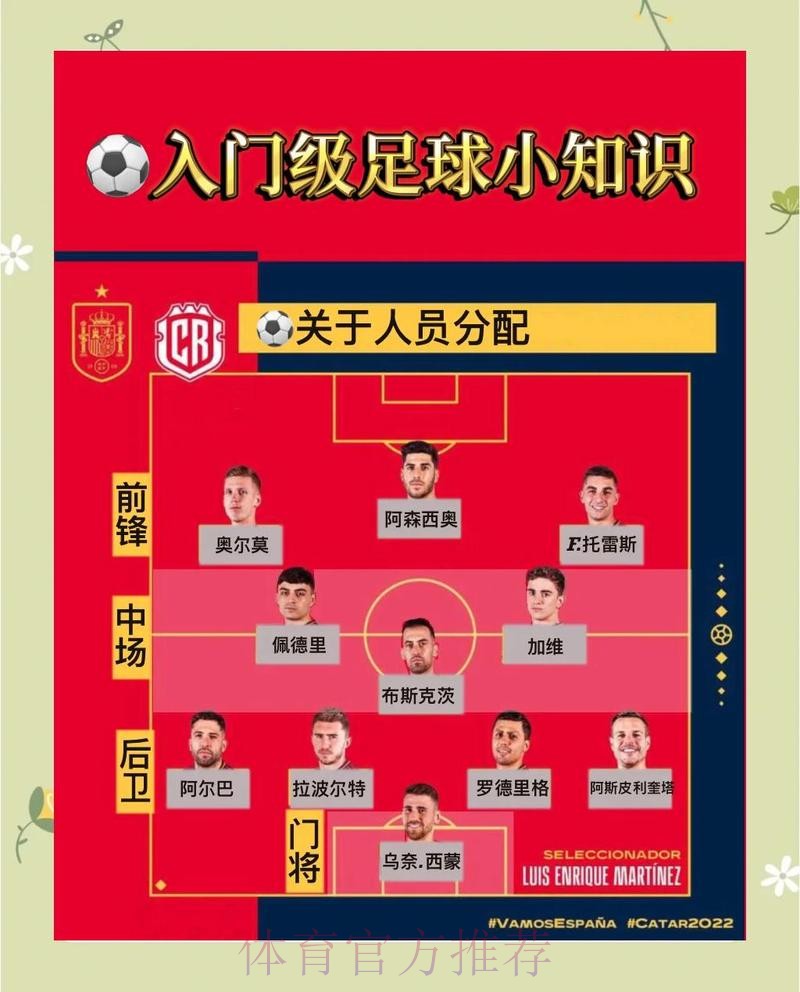世界杯投注新手入门指南：零基础快速上手